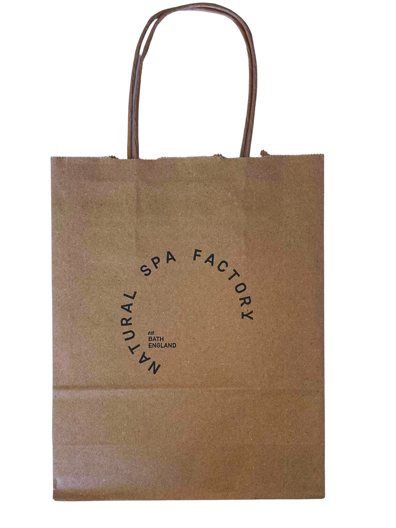 Brown Kraft Twist Hand Paper Bags with NSF logo - Pack of 10